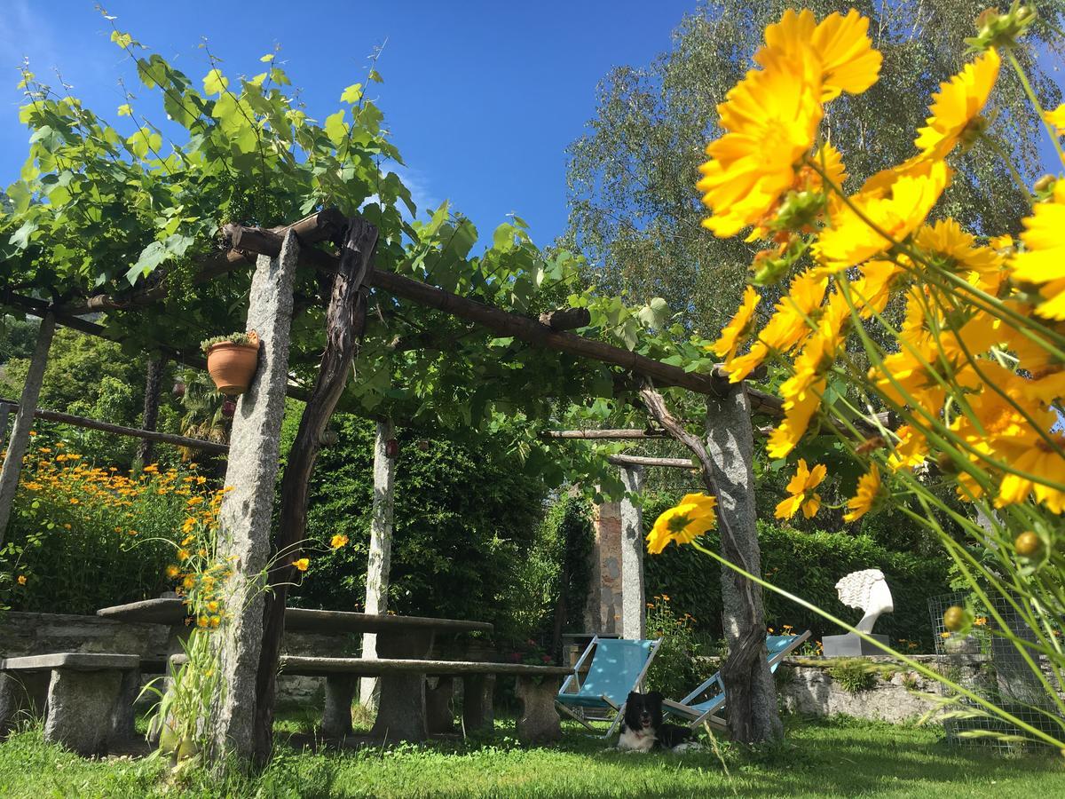 B&B Villa Sempreverde Locarno Zewnętrze zdjęcie